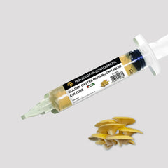 Golden Oyster Mushroom Liquid Culture – 20cc Syringe | Pleurotus citrinopileatus Strain (C0461)