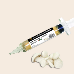 Milky Mushroom (Calocybe Indica) Liquid Culture Syringe 20cc (C0467)