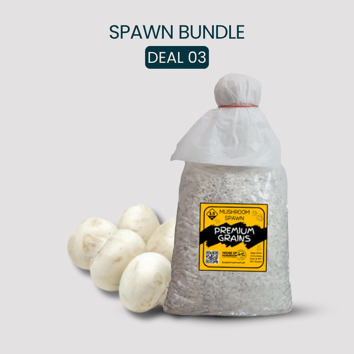 Bulk White Button Mushroom Spawn 25kg