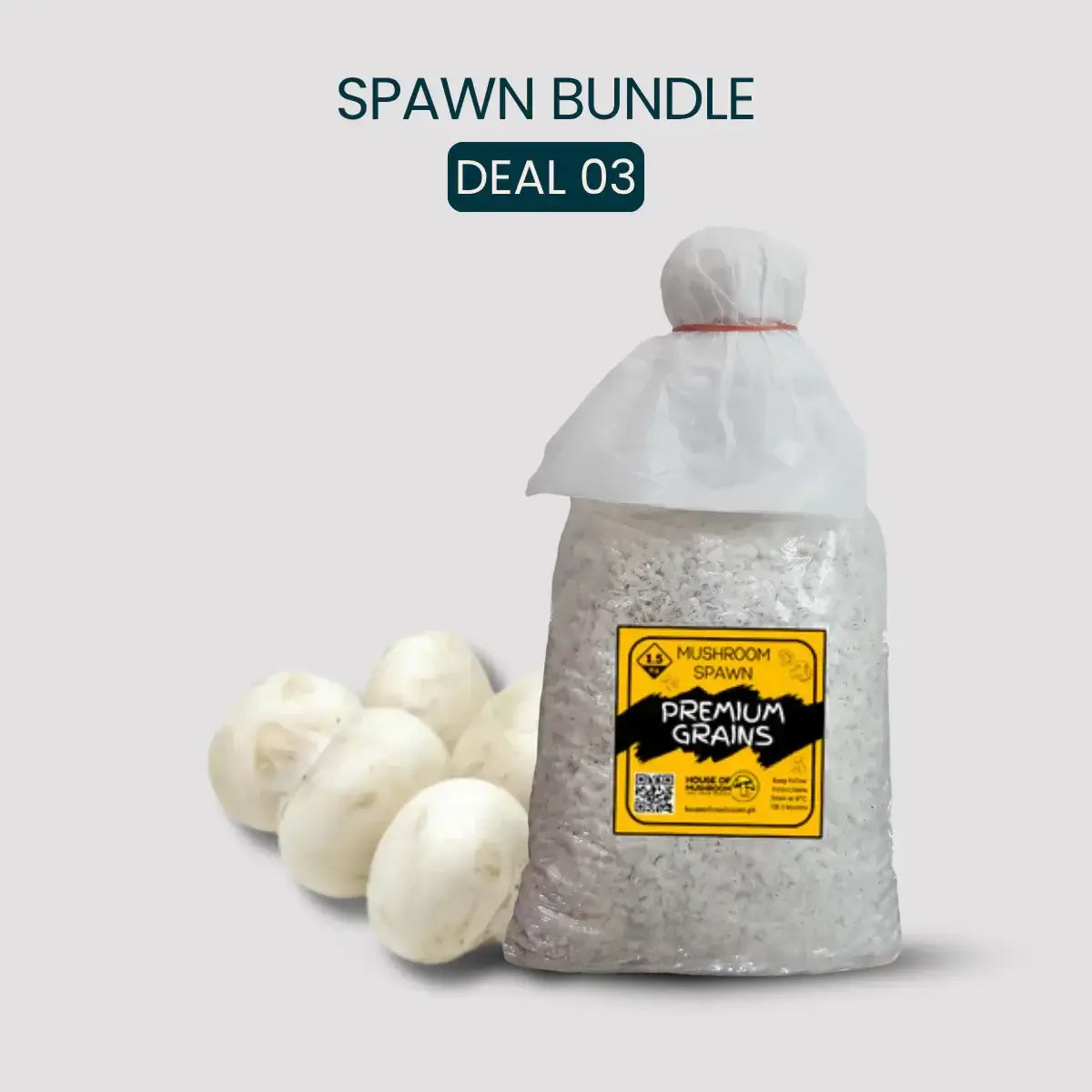 Bulk White Button Mushroom Spawn