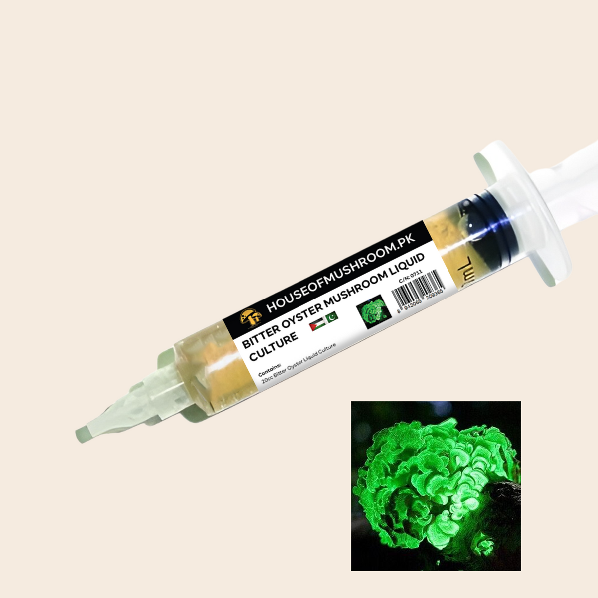 Bitter Oyster Mushroom (Panellus Stipticus) Liquid Culture Syringe 20cc (C0711)