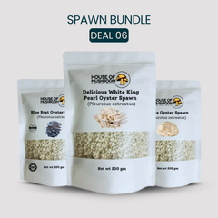 Mini Mushroom Spawn Bags Speacial Bungle 600gm
