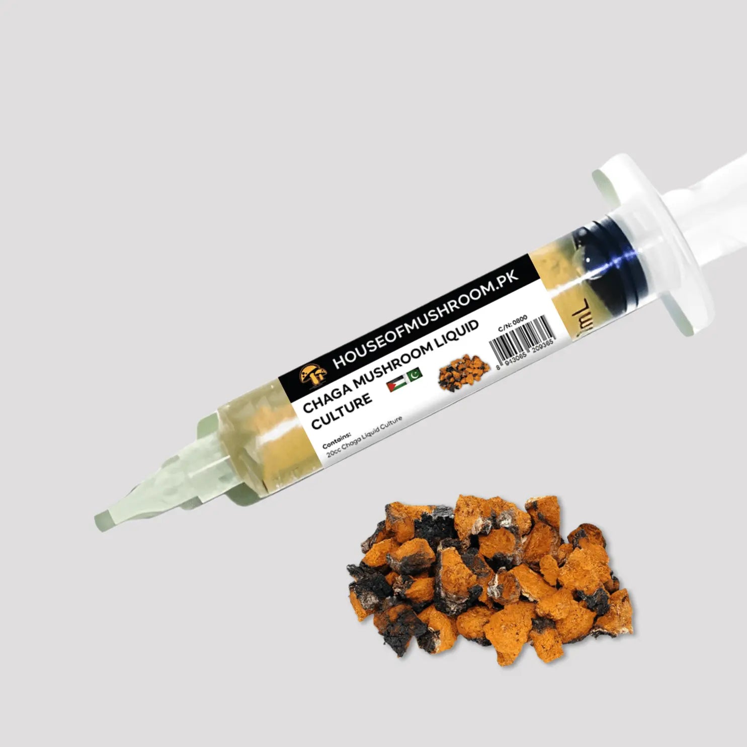Chaga Mushroom Liquid Culture – 20cc Syringe | Premium Mycelium (C0800)
