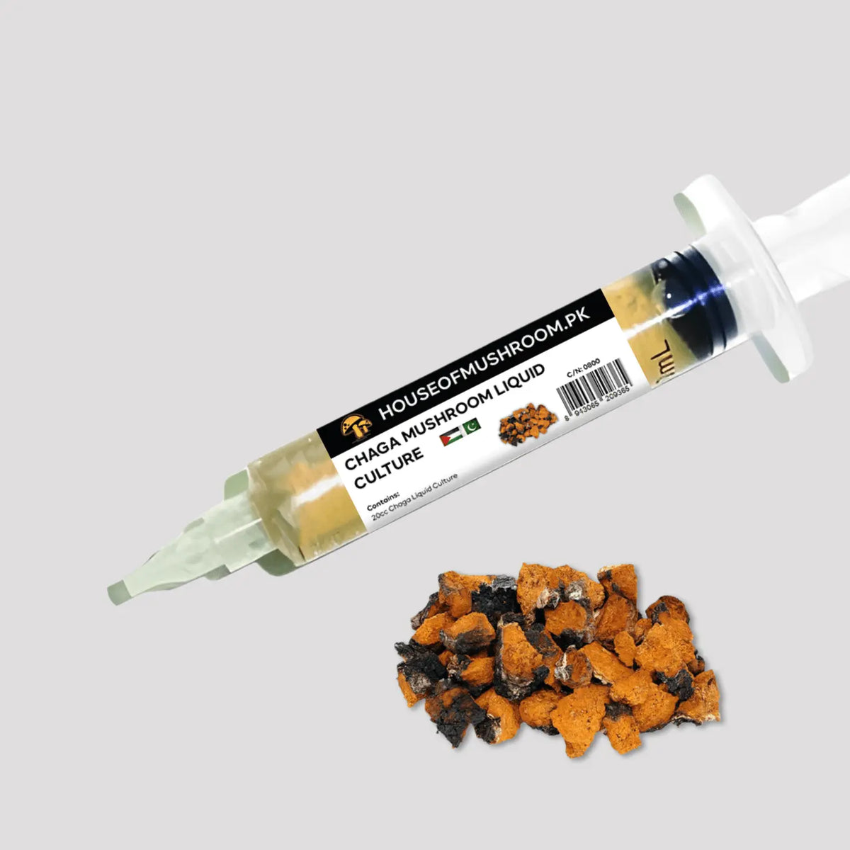 Chaga Mushroom Liquid Culture – 20cc Syringe | Premium Mycelium (C0800)