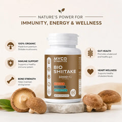 Bio Shiitake Mushroom Capsules – Organic Immune & Wellness Support
