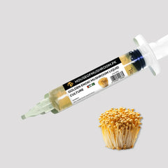 Golden Enoki Mushroom Liquid Culture – 20cc Syringe | Premium Strain Mycelium (C0910)