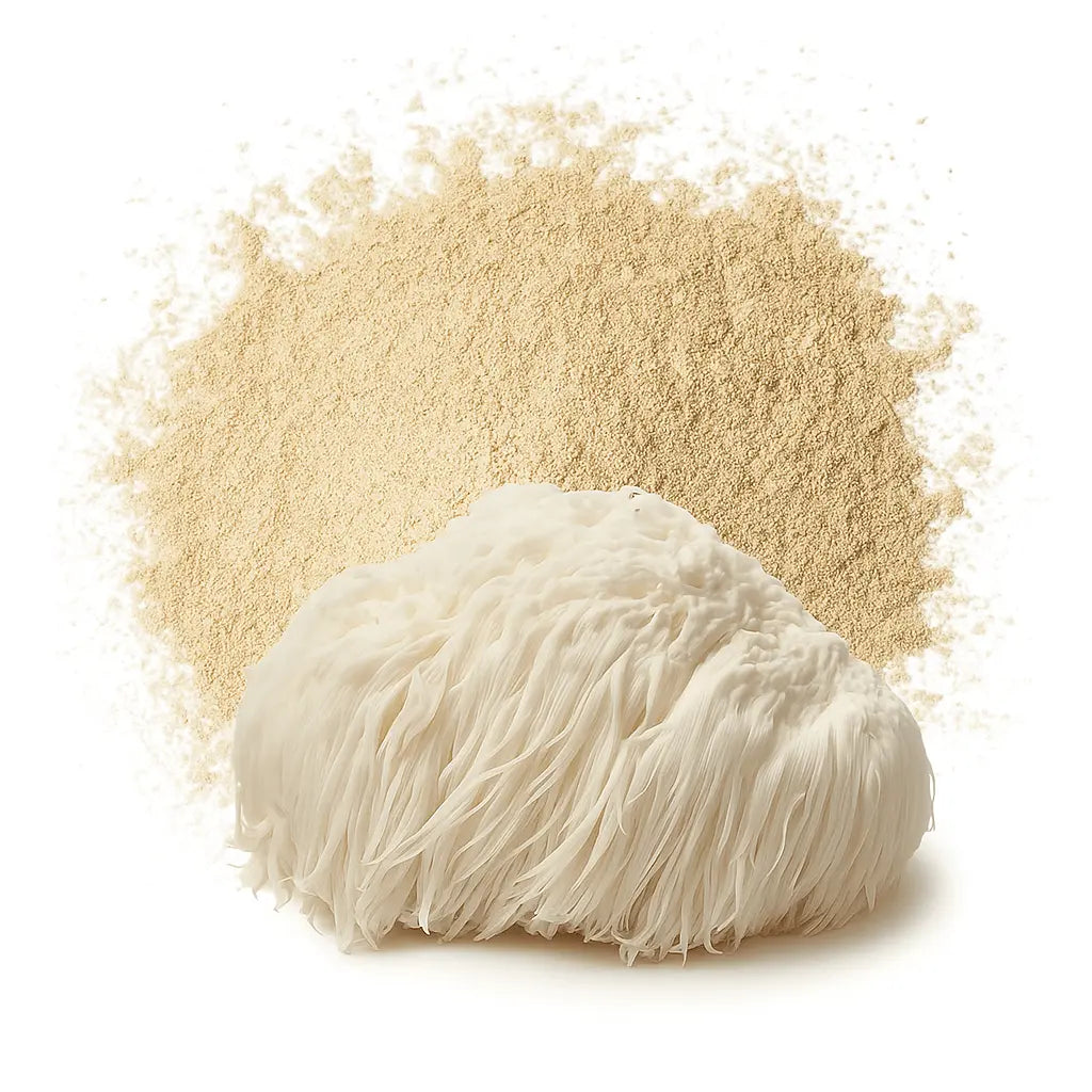 Lion’s Mane Mushroom Raw Powder Bulk | Hericium erinaceus Pure Pom Pom Mushroom