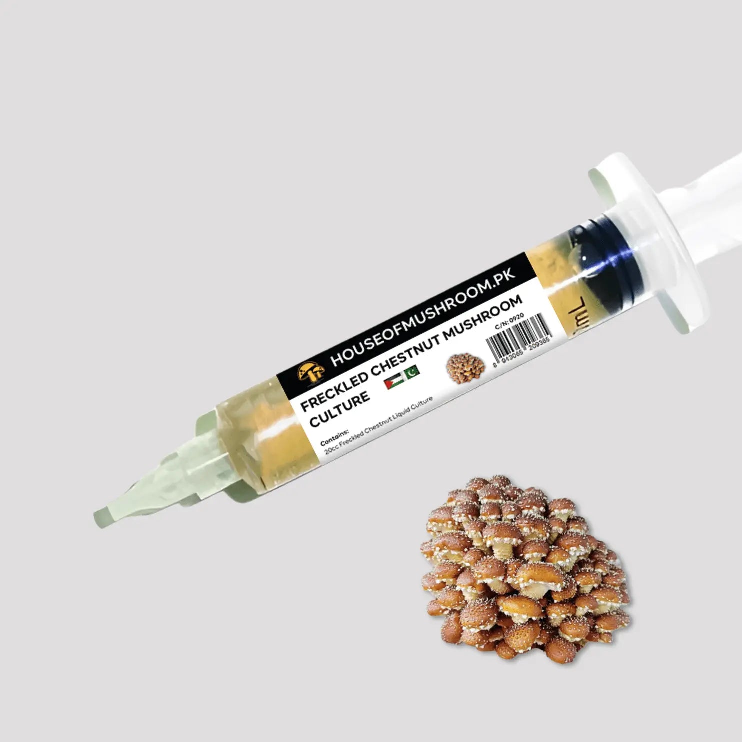 Freckled Chestnut Mushroom Liquid Culture – 20cc Syringe | Premium Mycelium (C0920)