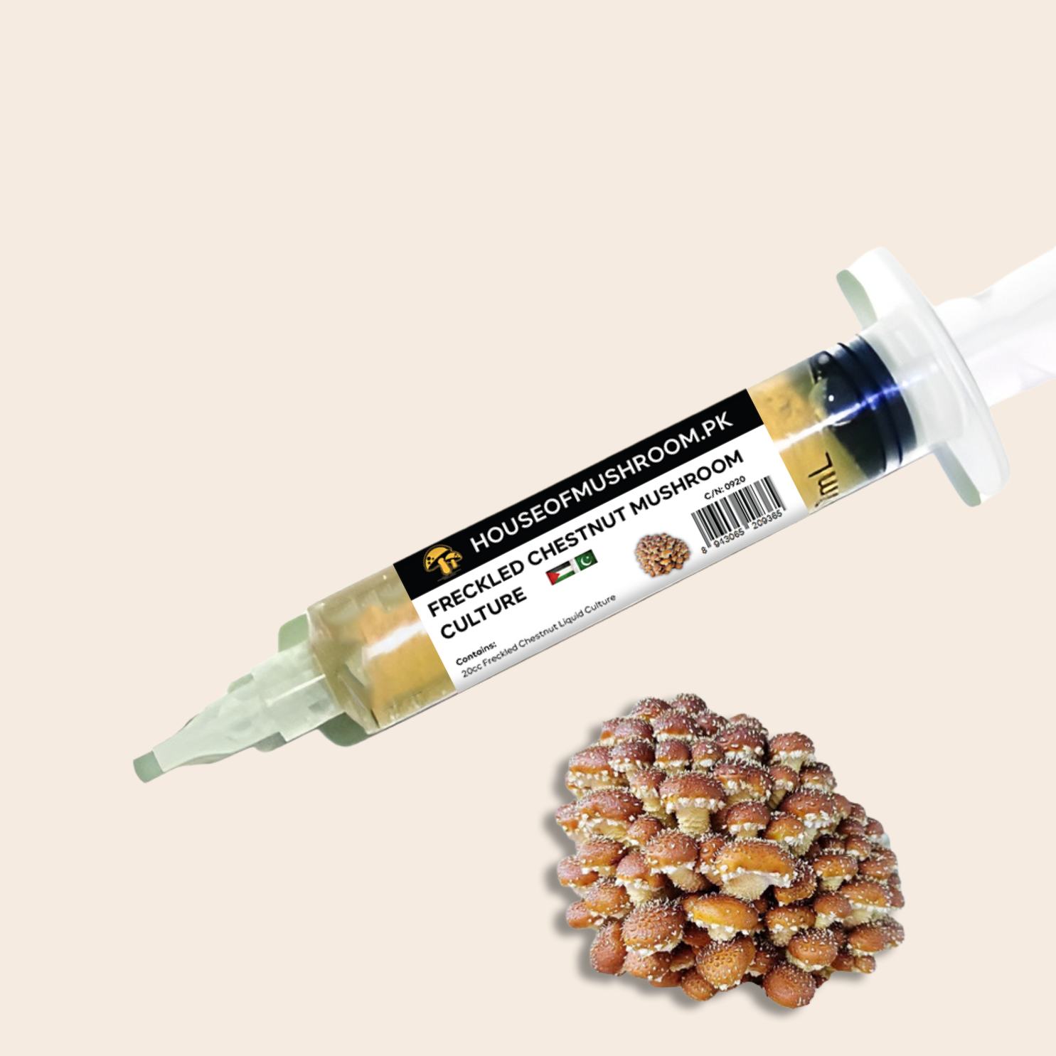 Freckled Chestnut Mushroom Liquid Culture Syringe 20cc (C0920)