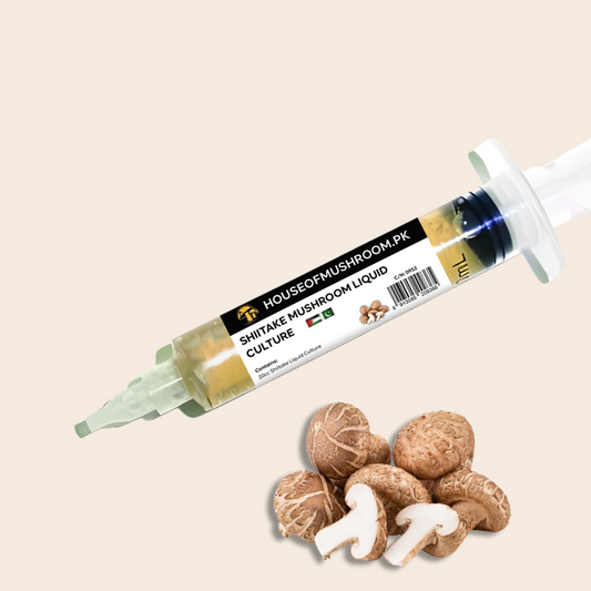Shiitake Mushroom 7869 (Lentinula Edodes) Liquid Culture Syringe 20cc (C0952)