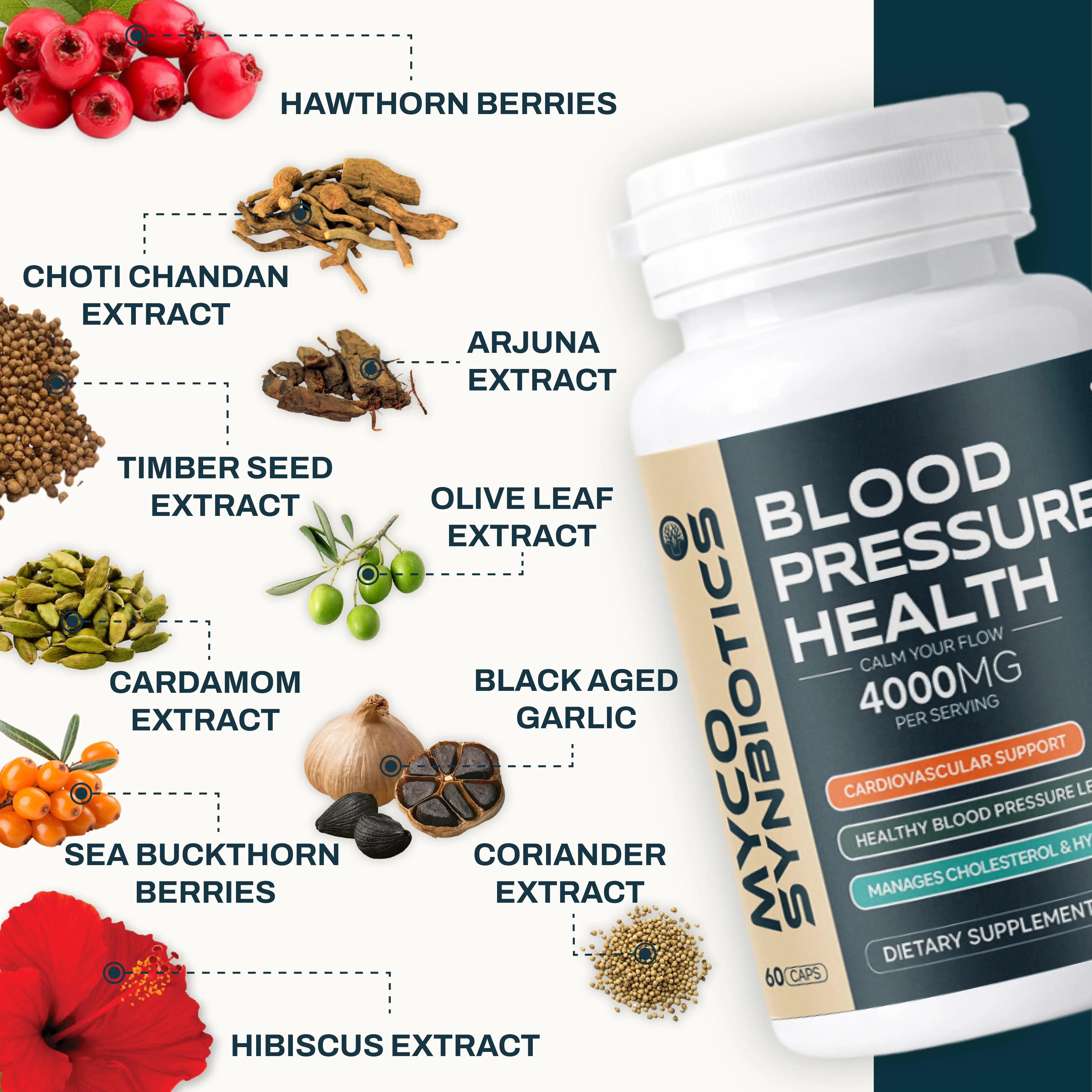 Blood Pressure Support with Hawthorn Berry & Hibiscus | Natural Heart Health