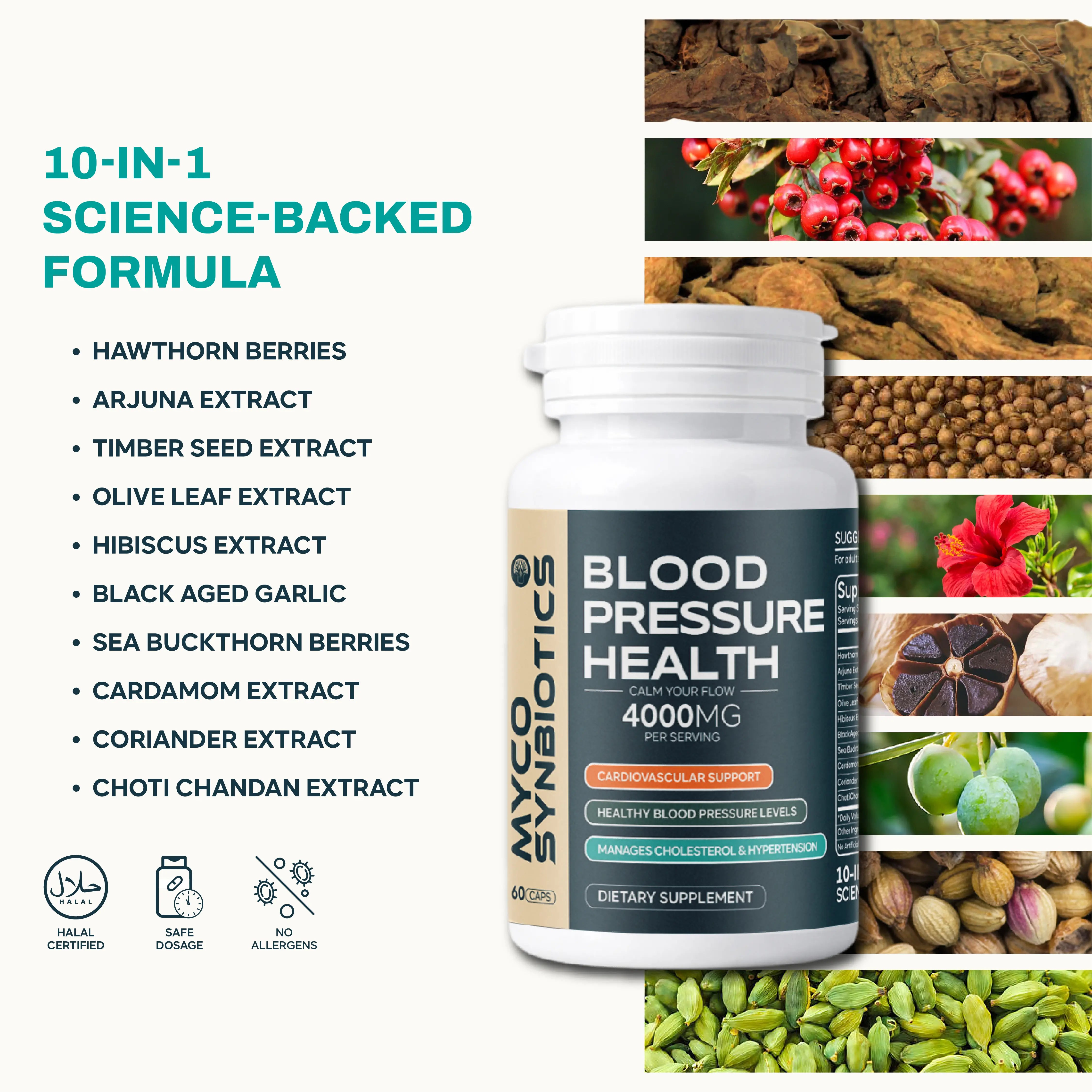 Blood Pressure Support with Hawthorn Berry & Hibiscus | Natural Heart Health