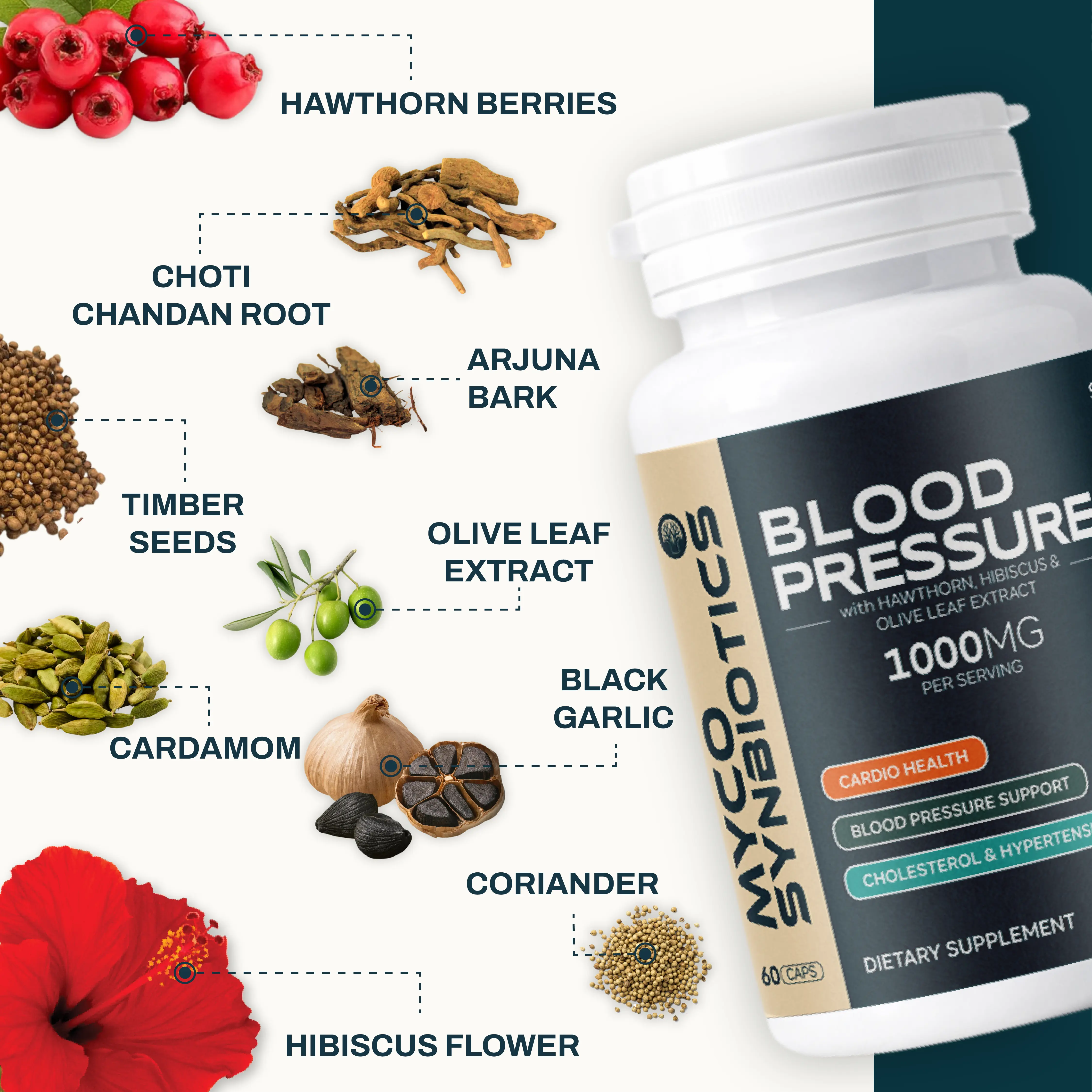 Blood Pressure Support with Hawthorn Berry & Hibiscus | Natural Heart Health
