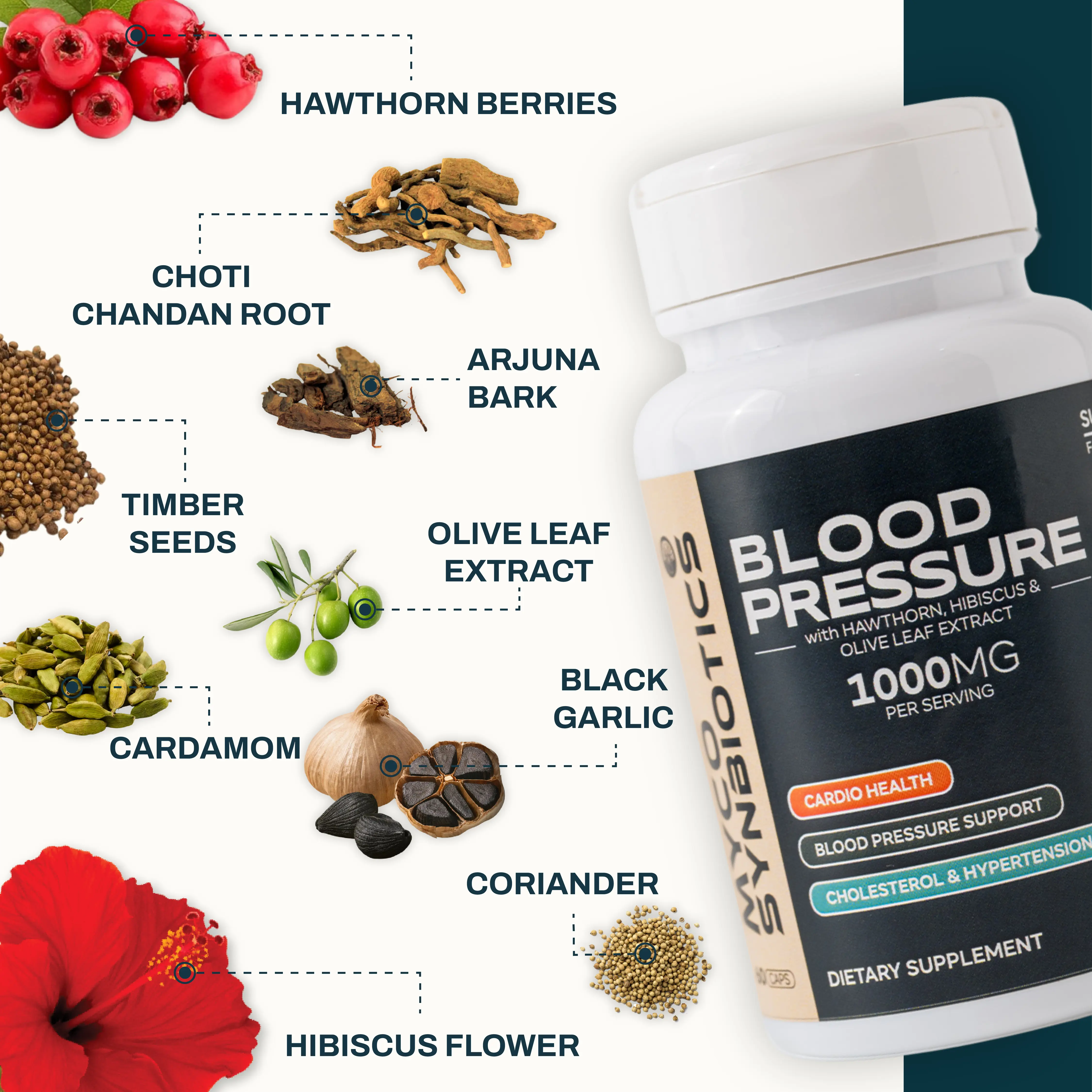 Blood Pressure Support with Hawthorn Berry & Hibiscus | Natural Heart Health