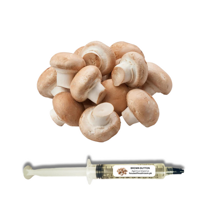 Brown Button Mushroom (Agaricus Bisporus) Liquid Culture Syringe (C0510)