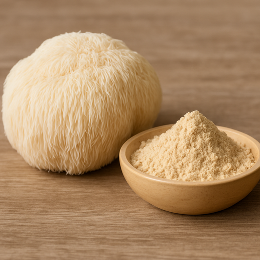 Lion’s Mane Mushroom Raw Powder (Hericium erinaceus) Bulk