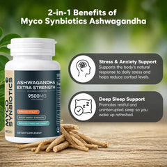 Ashwagandha Extra Strength Capsules – Natural Stress, Mood & Focus Support