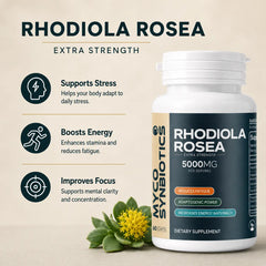 Extra Strength Rhodiola Rosea Capsules – Powerful Support for Stress, Energy & Focus