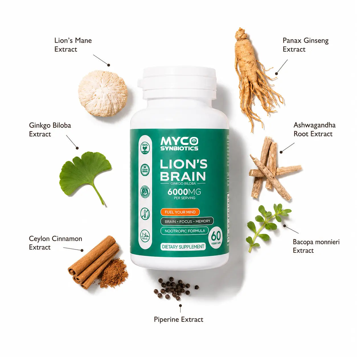 Lion's Mane Capsules | Advanced Nootropic for Memory, Focus & Brain Health