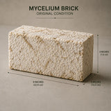 Mycelium Bio-Fabricated Sustainable Tiles & Bricks Fire Resistant Acoustic Interior Insulation