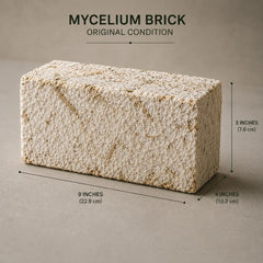 Mycelium Bio-Fabricated Sustainable Tiles & Bricks Fire Resistant Acoustic Interior Insulation