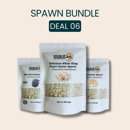 Mini Mushroom Spawn Bags Speacial Bungle 600gm