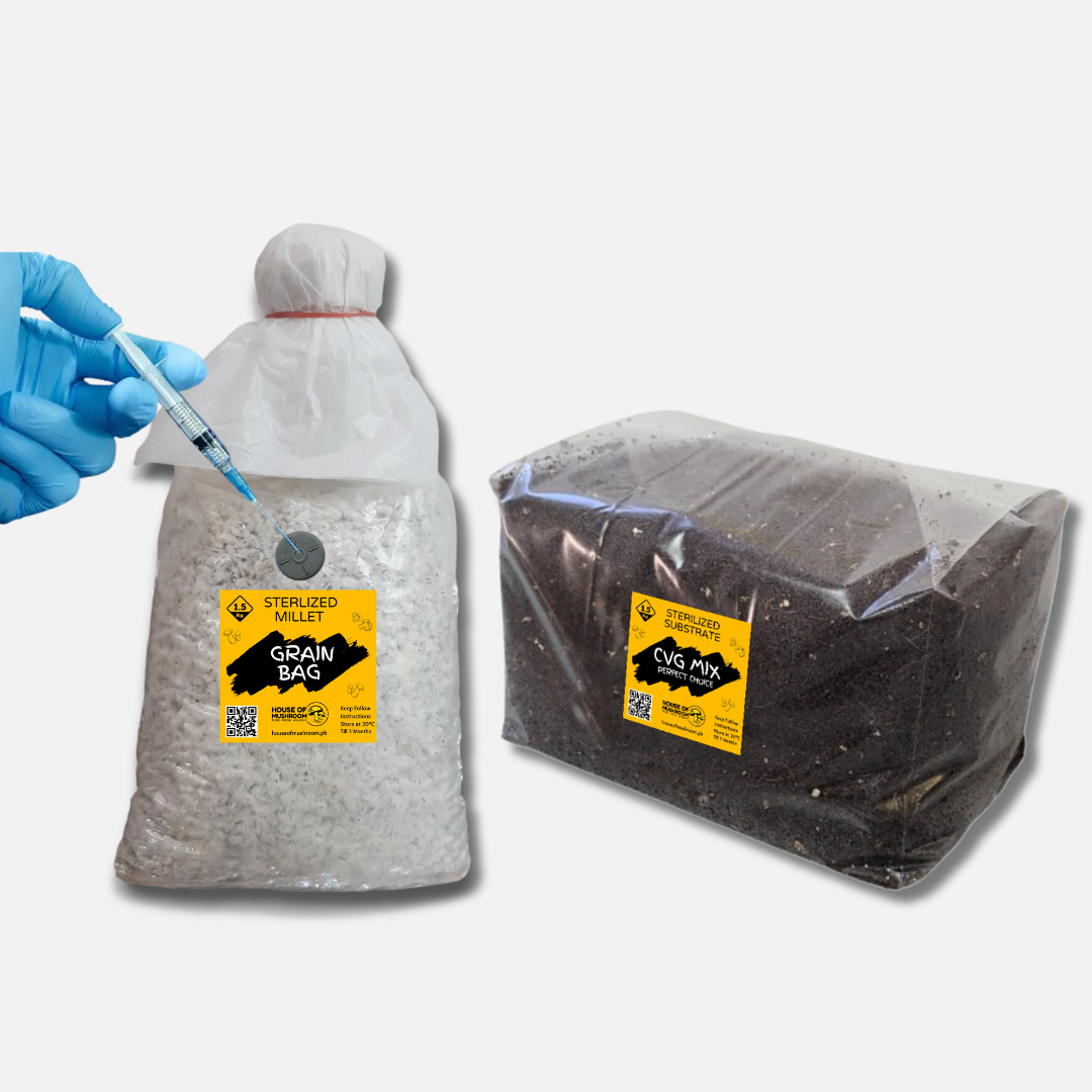 Mushroom Injection GRAIN SPAWN + CVG MIX MUSHROOM SUBSTRATE COMBO PACK - House of Mushroom