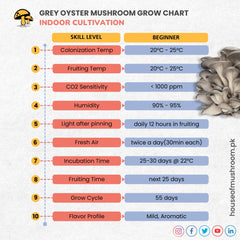 GREY OYSTER MUSHROOM GROW KIT 2.5KG