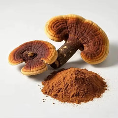 Red Reishi Mushroom Raw Powder Bulk | Ganoderma Lucidum Pure Lingzi Mushroom King of Herbs