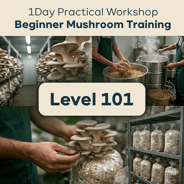 Level 101: Beginner – Mushroom Growing Basics – 1 Day Workshop