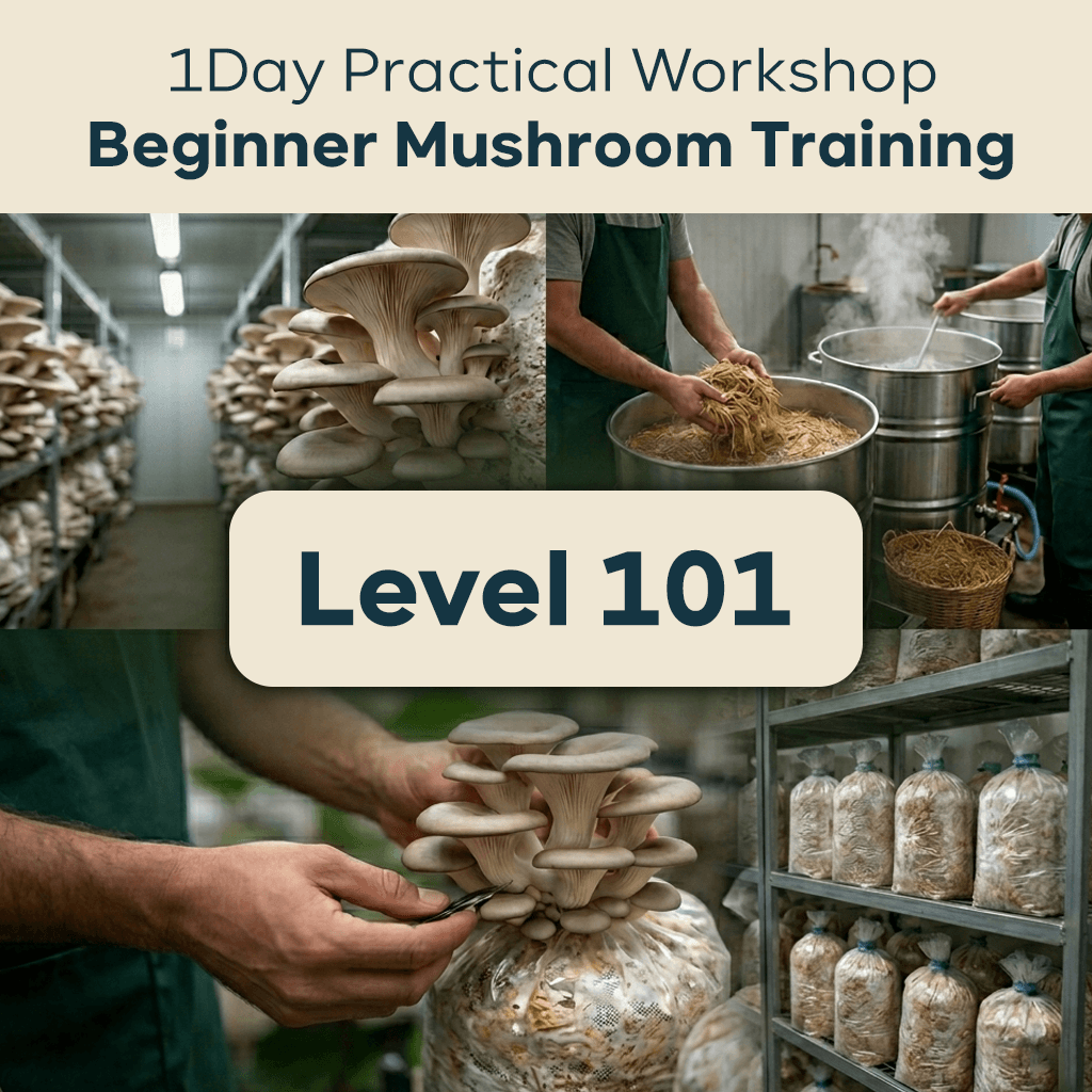 Level 101: Beginner – Mushroom Growing Basics – 1 Day Workshop