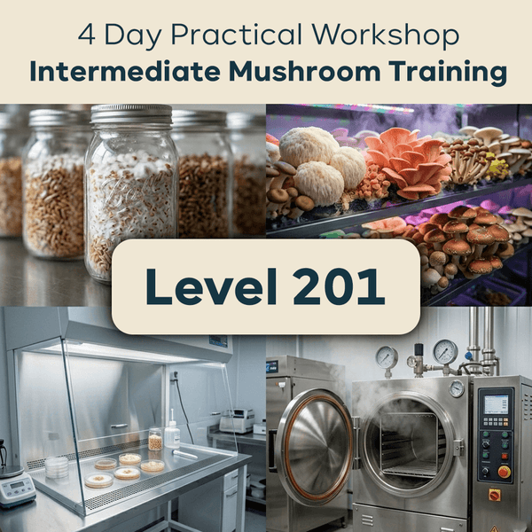 Level 201: Intermediate – Spawn Production – 4 Days Workshop
