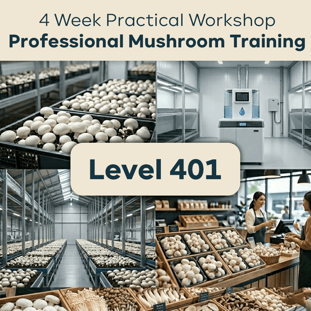 Level 401: Professional – Commercial Farming & Business – 30 Days Workshop