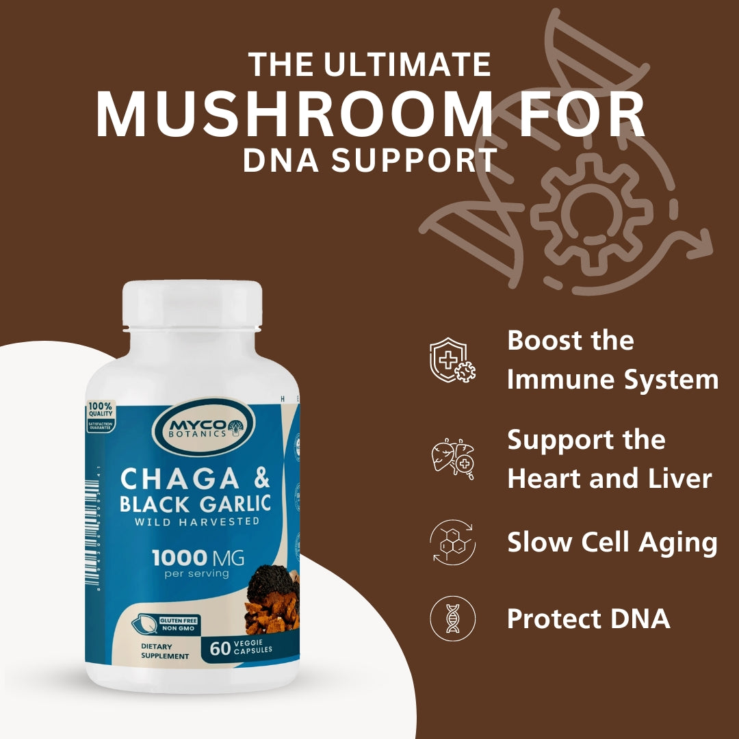 Real Wild Chaga Mushroom & Aged Black Garlic Capsules | Organic Mushroom Extract Supplement, 60 Veggie Caps, Antioxidant & Immune Support Supplement