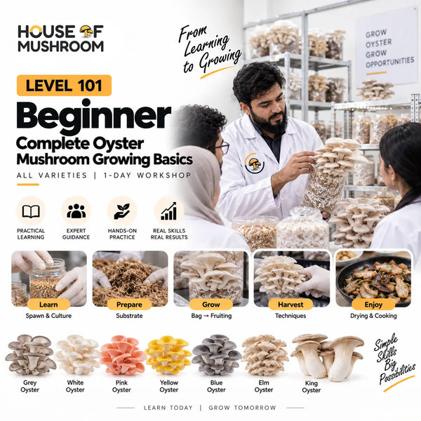 Level 101: Beginner – Complete Mushroom Growing Basics | 35+ Varieties | 1-Day Workshop