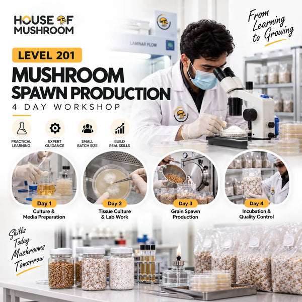 Level 201: Intermediate – Professional Mushroom Spawn Production | 4-Day Workshop