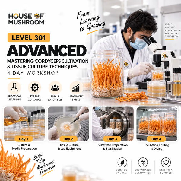 Level 301: Advanced – Mastering Cordyceps Cultivation & Tissue Culture Techniques | 4-Day