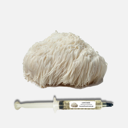 Lion's Mane Mushroom Liquid Culture Syringe 20cc (C0110)