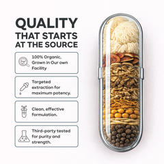 Master Blend Mushroom Complex Capsules – 10 Mushroom & Adaptogen Formula for Brain, Energy & Immunity