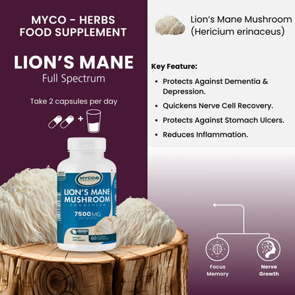 Lion's Mane Mushroom Capsules – Organic, Vegan-Friendly Brain-Health Supplement