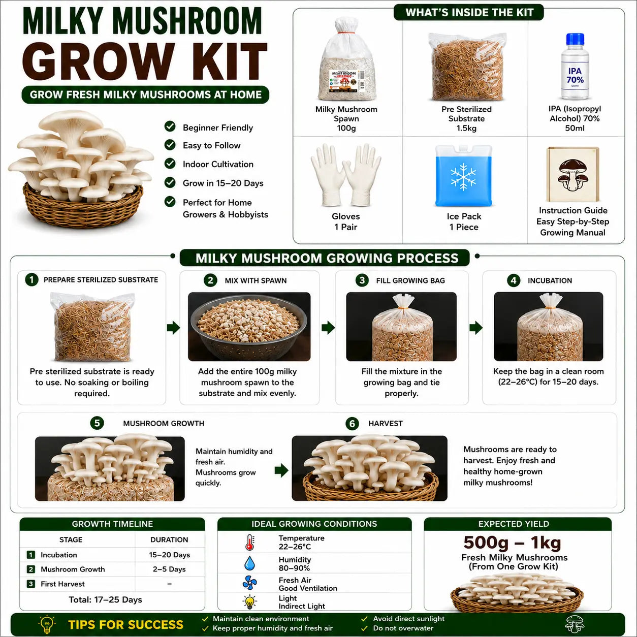 All-in-One Mushroom Starter Kit – 2KG Complete Growing Kit