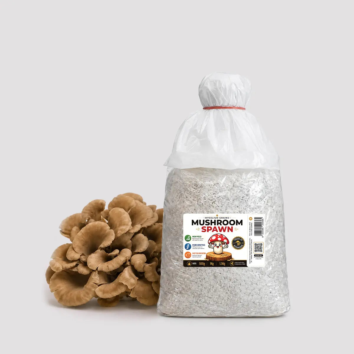 Maitake Mushroom Grain Spawn 1.5kg (170)