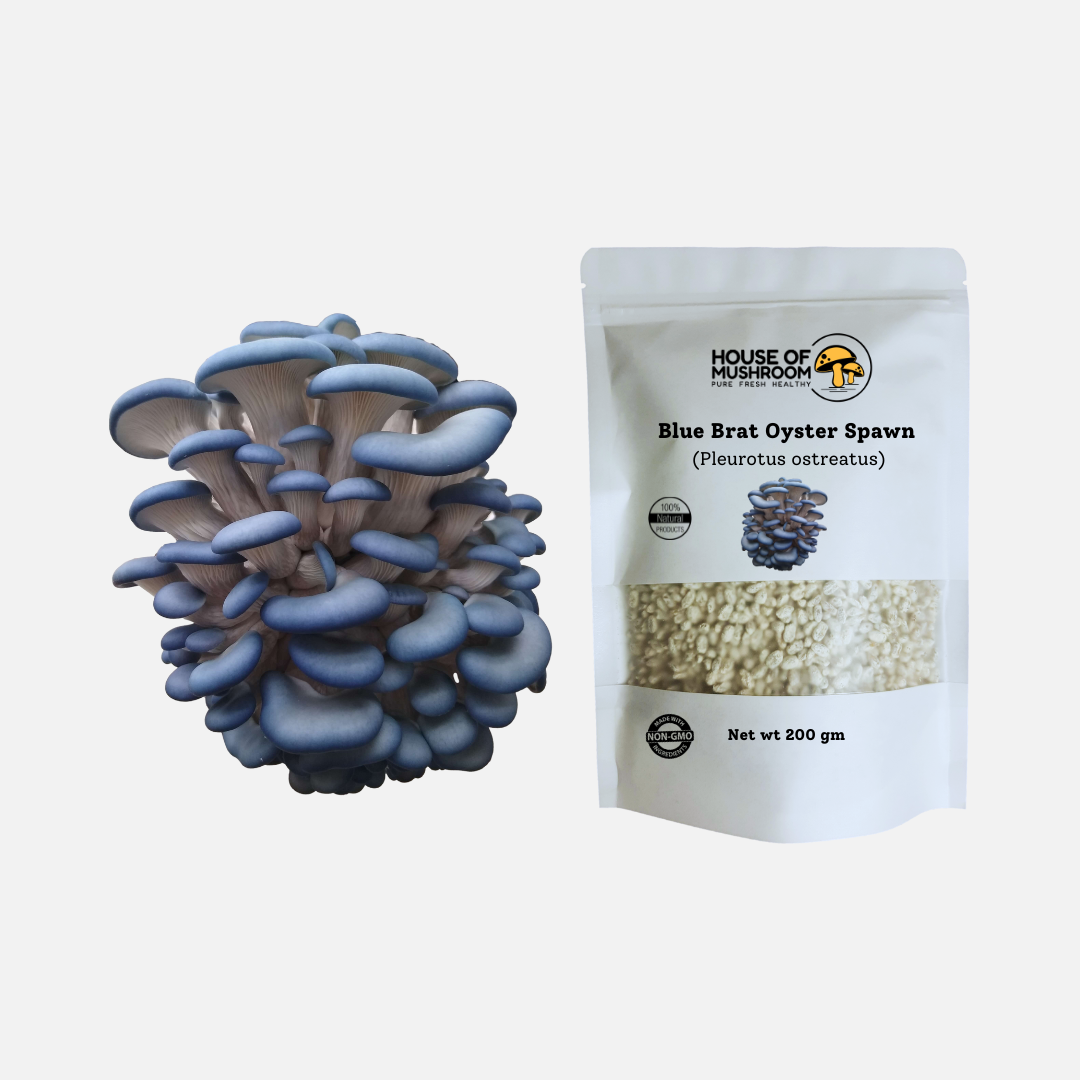 Mini Mushroom Spawn Bags Speacial Bungle 600gm