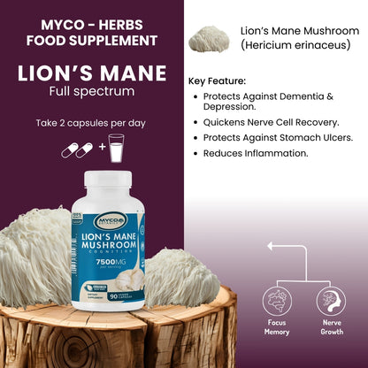 Lions mane capsules - Features