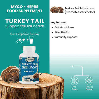 Turkey Tail Mushroom Capsules | Organic Mushroom Extract Supplement, 60 Veggie Caps, Digestive Health & Immune Response Supplement