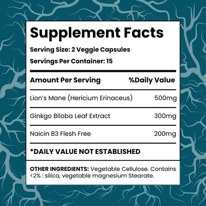 Brain Health Capsules | Lion's Mane Mushroom Plus Ginkgo Biloba Extract, 30 Veggie Caps, Stress & Mood Support Supplement