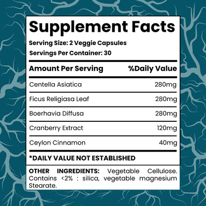 Kidney Support Capsules | Kidney Restore With Centella Asiatica, Cranberry Extract, 60 Veggie Caps, Kidney Health Supplement