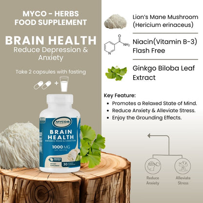 Brain Health Capsules | Lion's Mane Mushroom Plus Ginkgo Biloba Extract, 30 Veggie Caps, Stress & Mood Support Supplement