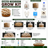 All-in-One Mushroom Starter Kit – 2KG Complete Growing Kit