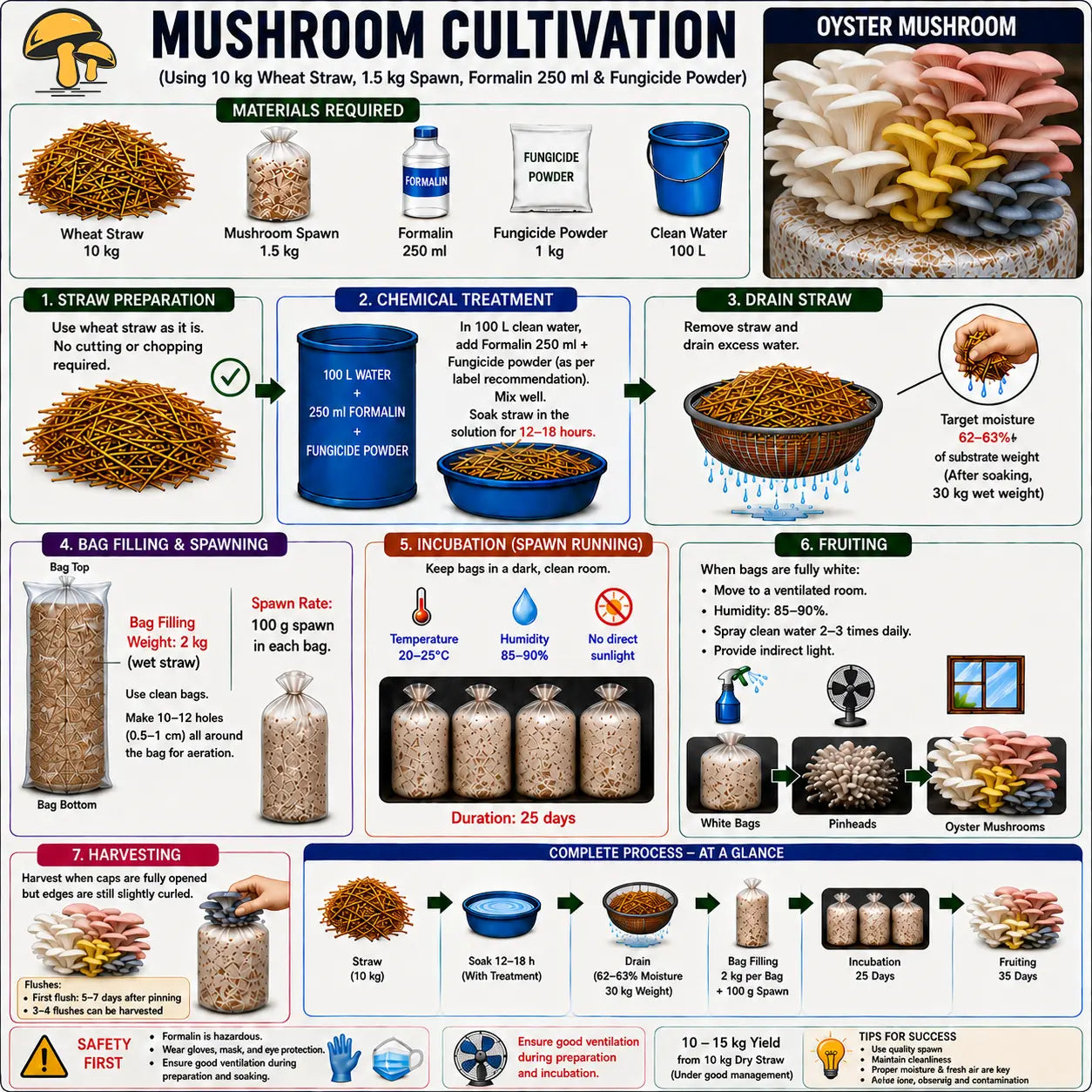 White Oyster Mushroom Grain Spawn 1.5kg - Premium Quality (410)